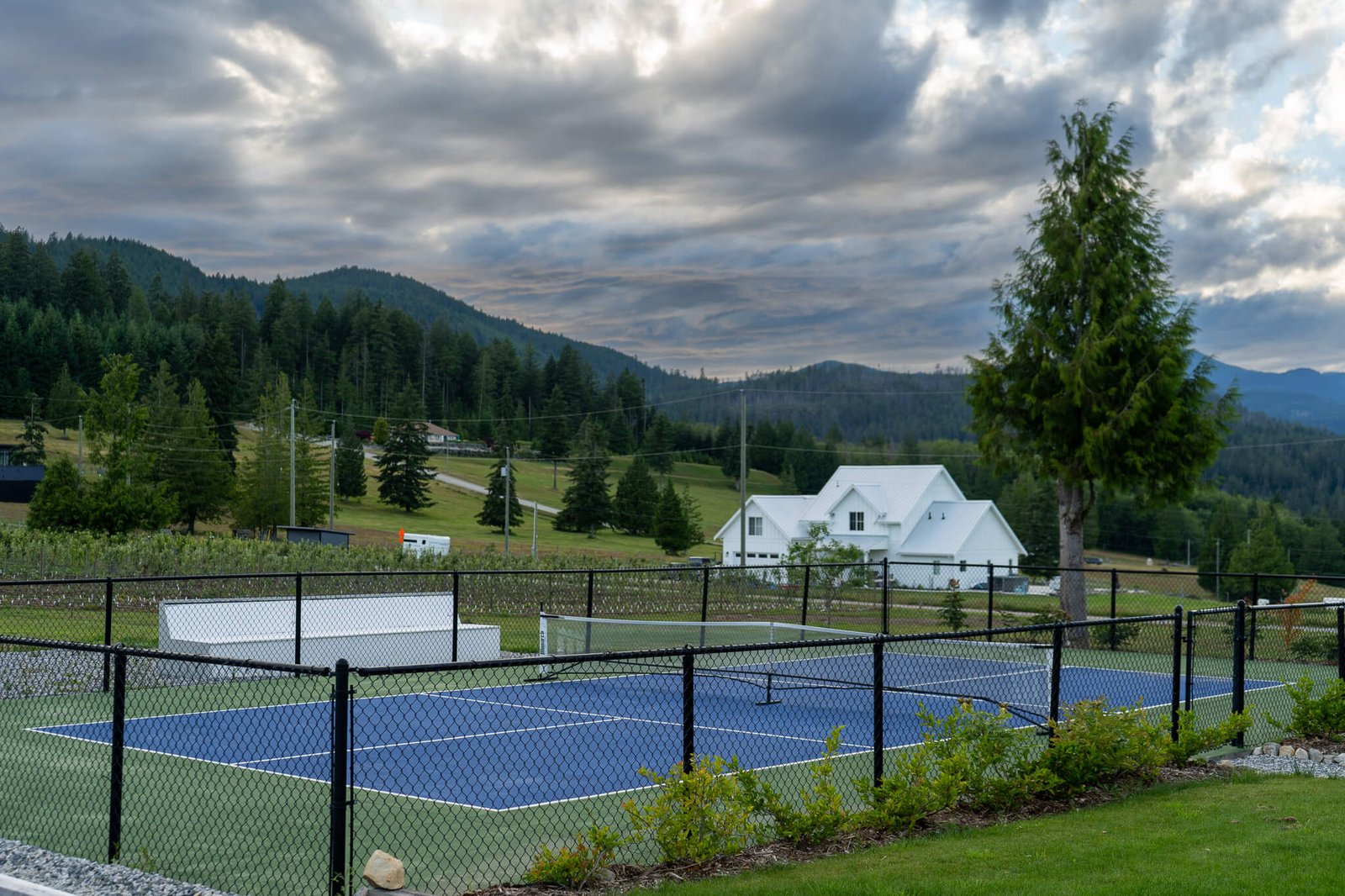 Pickleball Court